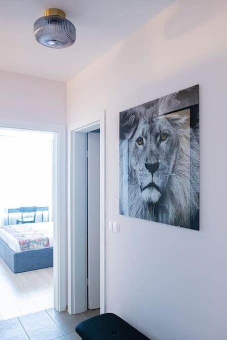 Tokiyo: A Lovely City Center 2 Bedrooms Apartment With Private Parking ソフィア エクステリア 写真